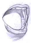 Flash̳̣ͨͺLƷ