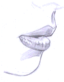 Flash̳̣ͨͺLƷ