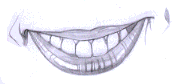 Flash̳̣ͨͺLƷ
