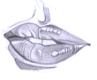 Flash̳̣ͨͺLƷ