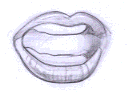 Flash̳̣ͨͺLƷ