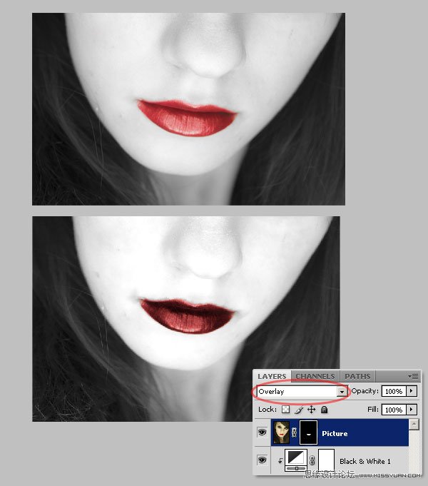 PhotoshopLЧ