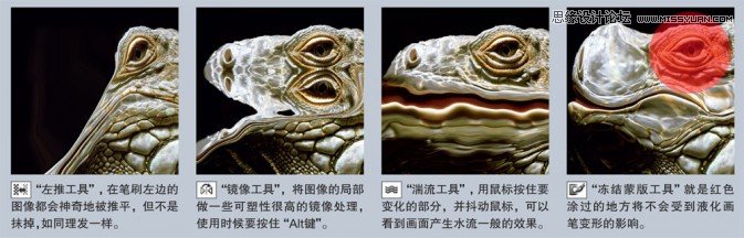 Photoshop簡單實例解析液化濾鏡