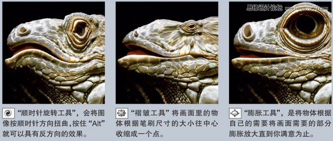 Photoshop簡單實例解析液化濾鏡