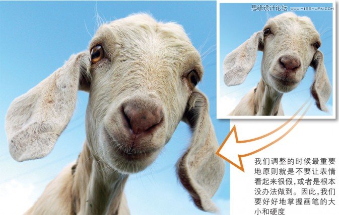 Photoshop簡單實例解析液化濾鏡