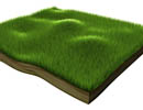 Cinema 4D L3Dƺ