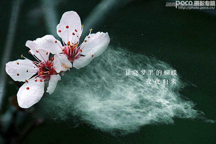 úڽo팑(xi)⟟|