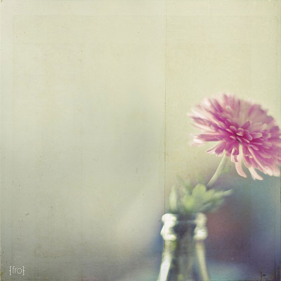 xLOMOL񺆆ƯĔzӰƷ