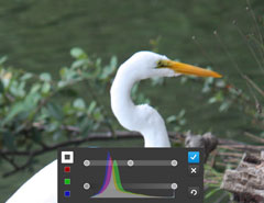 Photoshop觸摸版試用：功能強大細節需完善