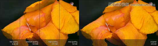 PhotoshopDƬ惦WEBøʽ