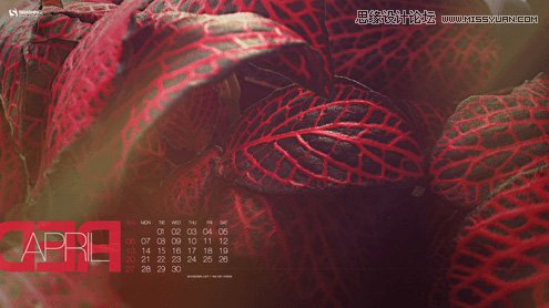 精選2014年4月優秀的日歷桌面壁紙