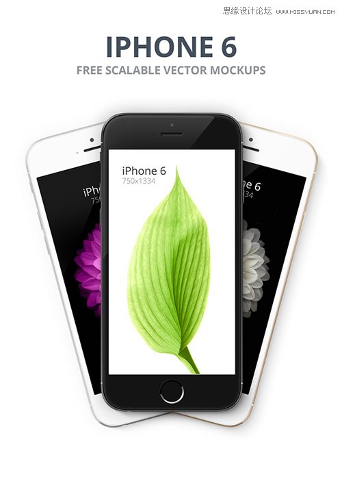 50µiPhone6ԭزM(fi)d