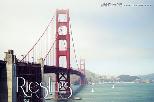 Photoshop̎׌wr