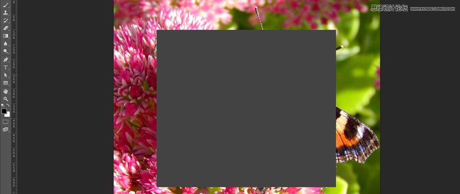 PhotoshopԔ(x)еʹüɺͽ(jng)(yn)