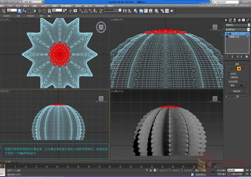 3DMAX詳細解析仙人球快速建模的方法