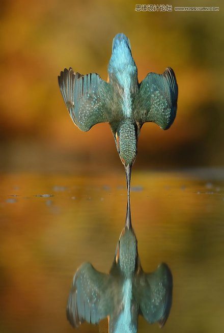 Ă˄ݎ_uՓe˵ĔzӰƷ