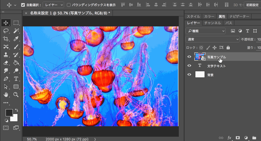 PhotoshopԔ20иЧT
