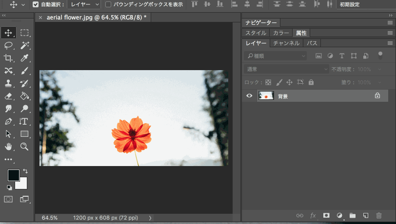 PhotoshopԔ20иЧT