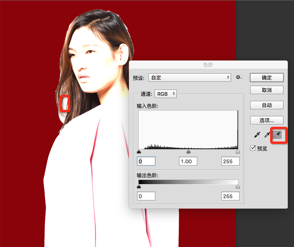 PhotoshopԔ(x)^l(f)ړD
