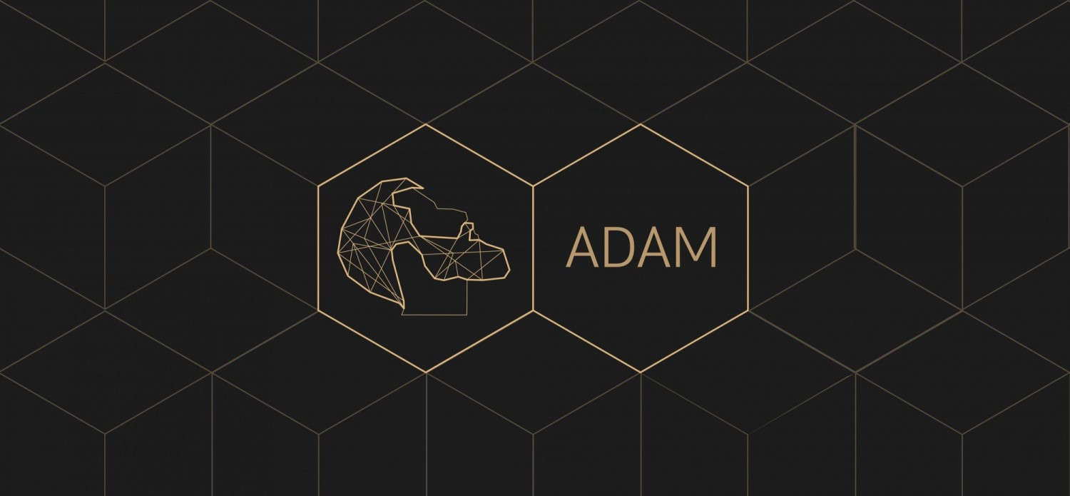 ADAMrlbOӋp