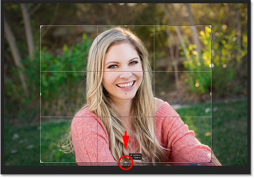 Photoshop CCПo(w)püDƬʹü