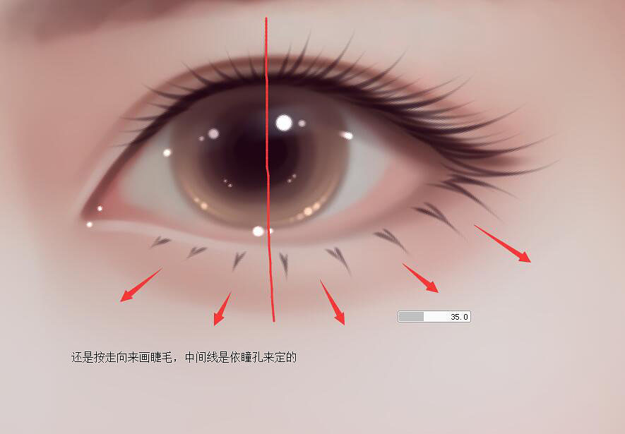 PhotoshopLDLеƯ۾