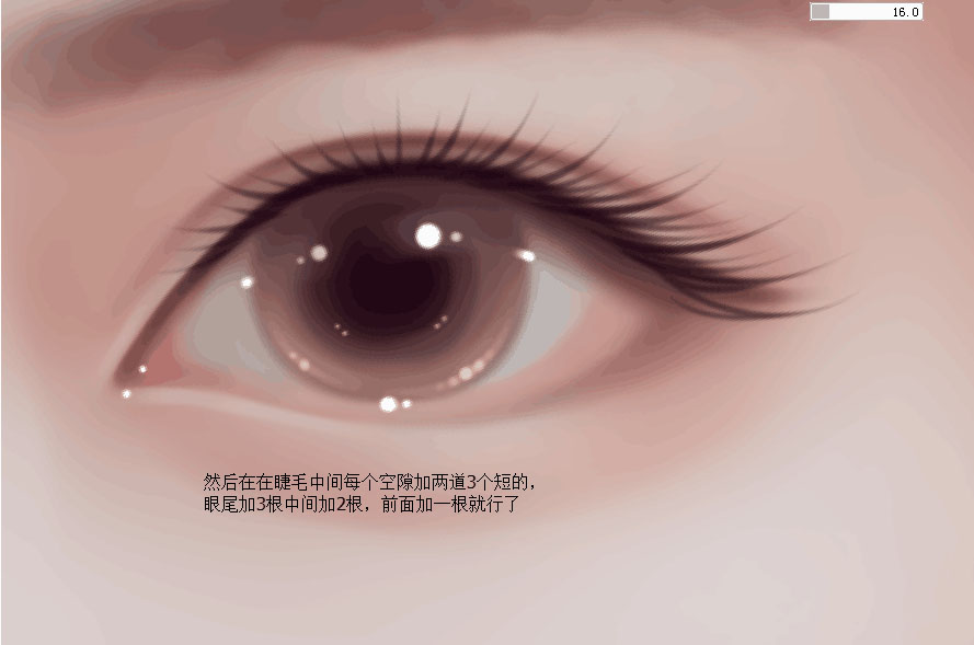 PhotoshopLDLеƯ۾
