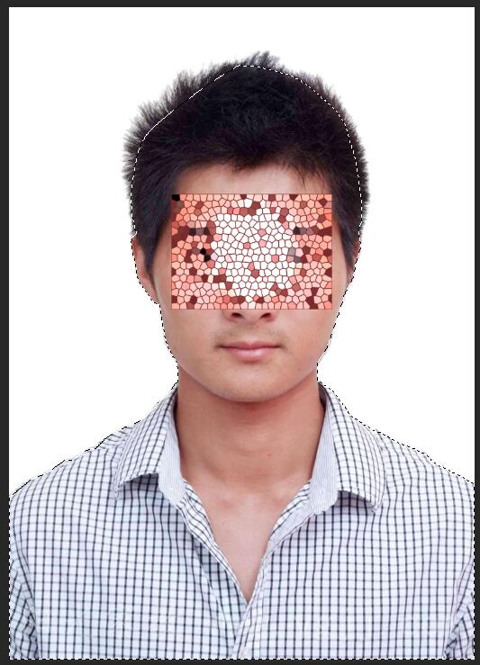 PhotoshopԔCյ񓸈D