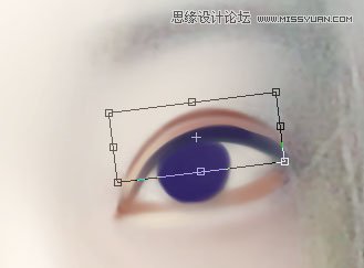 PhotoshopLˮ۾