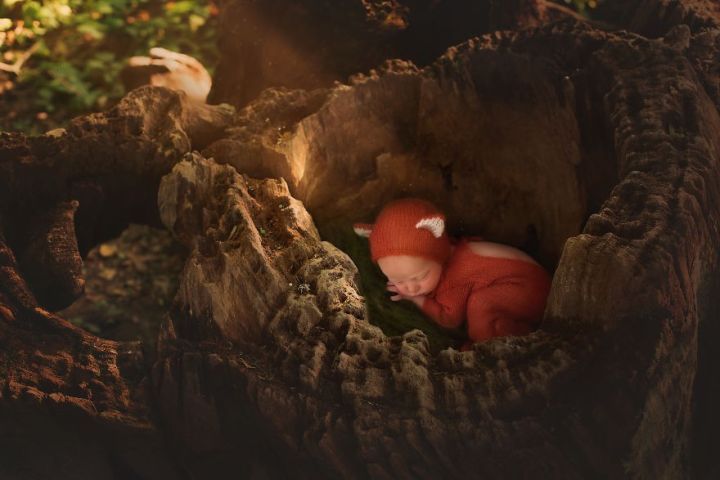ںϳƷp
