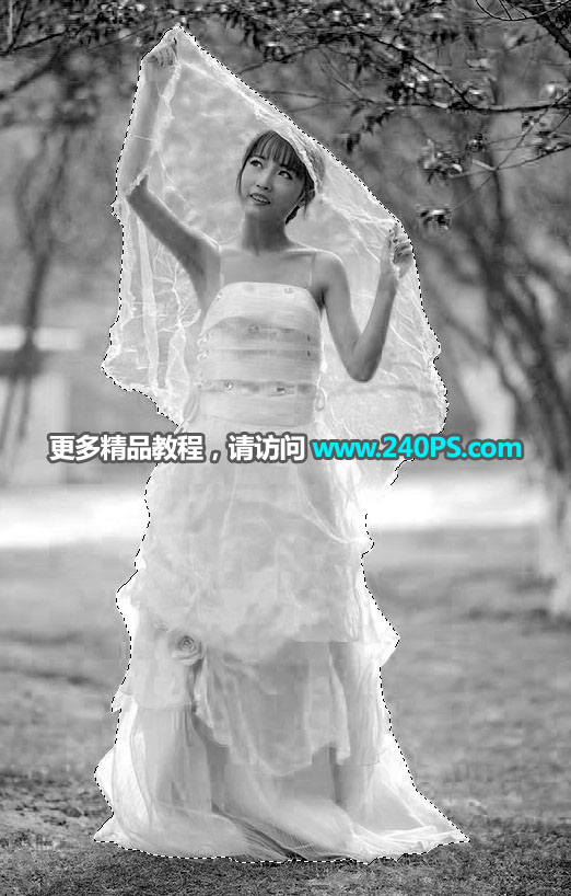 Photoshop͸鼆