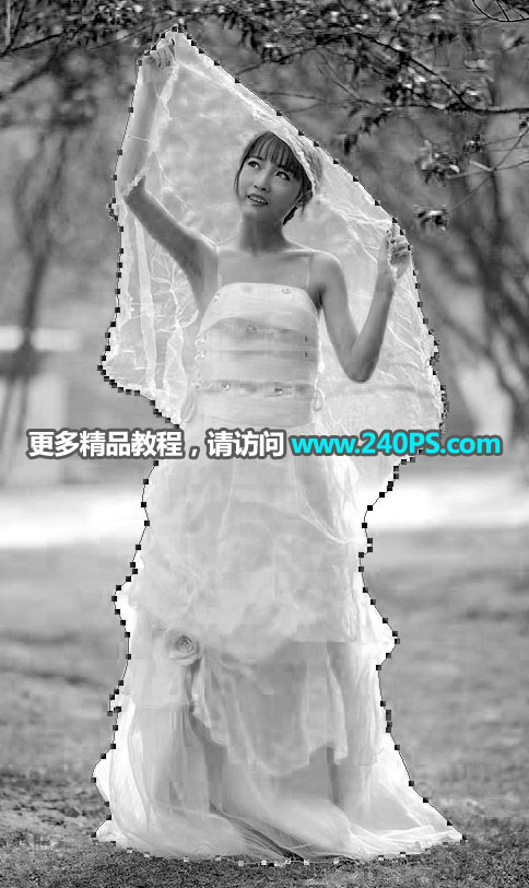 Photoshop͸鼆