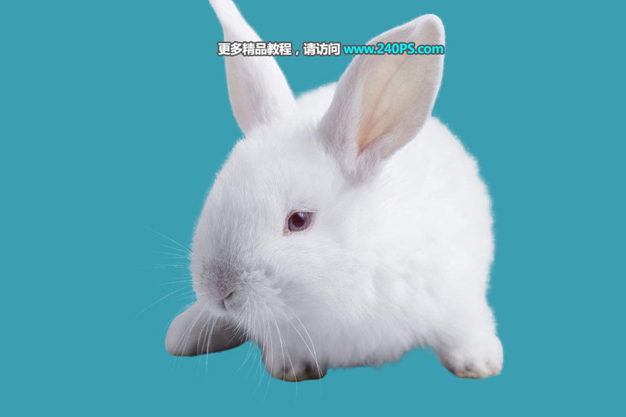 Photoshopʹ{߅С