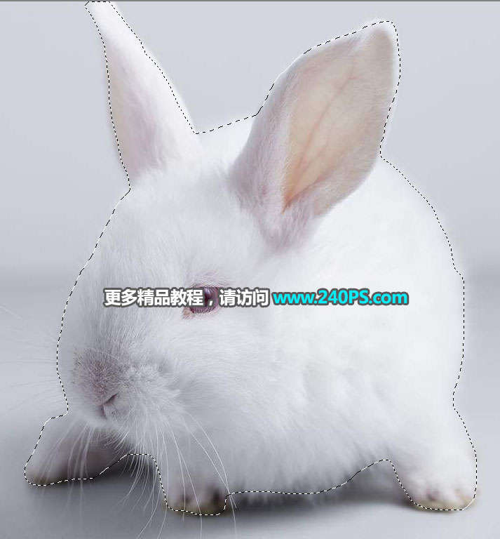Photoshopʹ{߅С