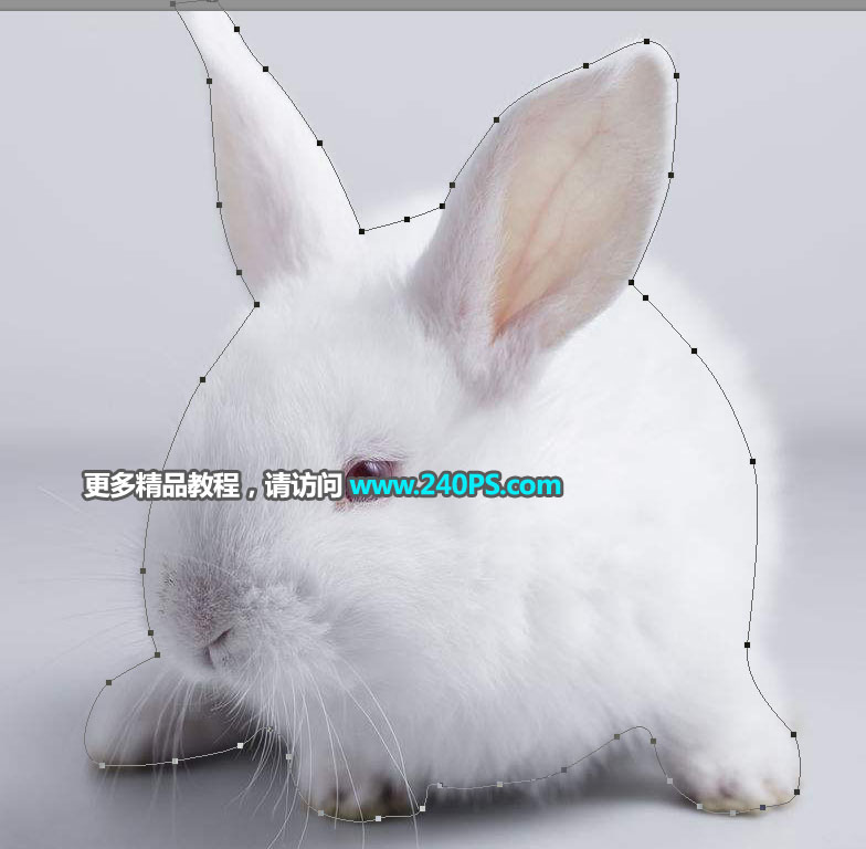 Photoshopʹ{߅С