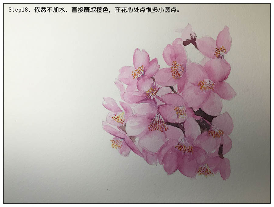 繪制水彩風(fēng)格的櫻花作品