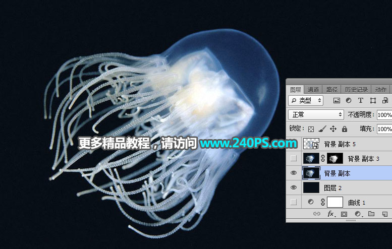 Photoshop如何巧用通道工具摳出透明水母