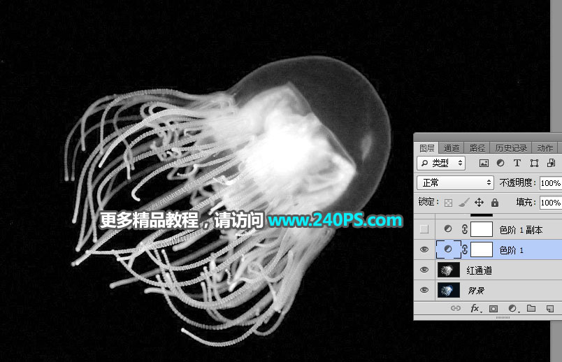 Photoshopͨߓ͸ˮĸ