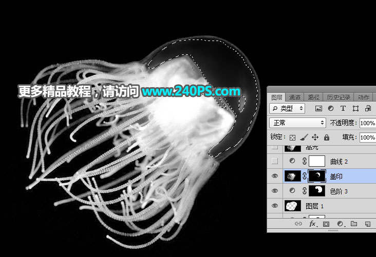 Photoshop如何巧用通道工具摳出透明水母