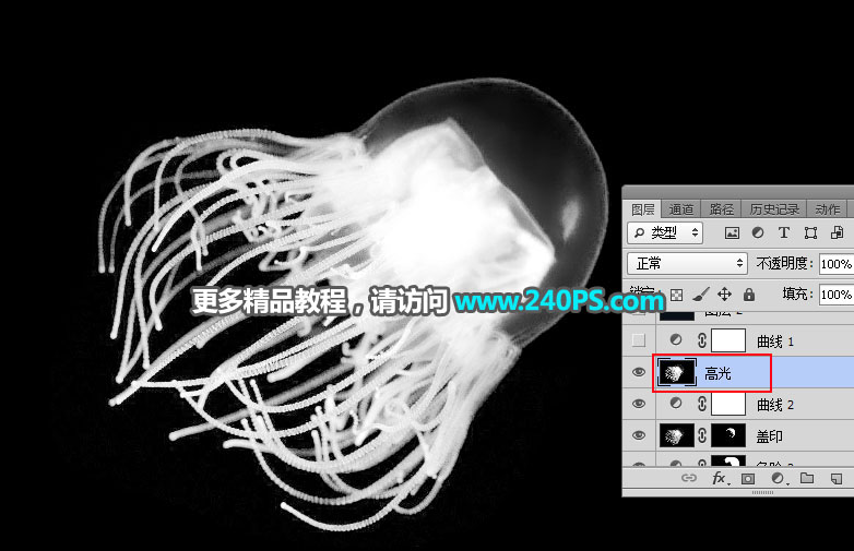 Photoshop如何巧用通道工具摳出透明水母