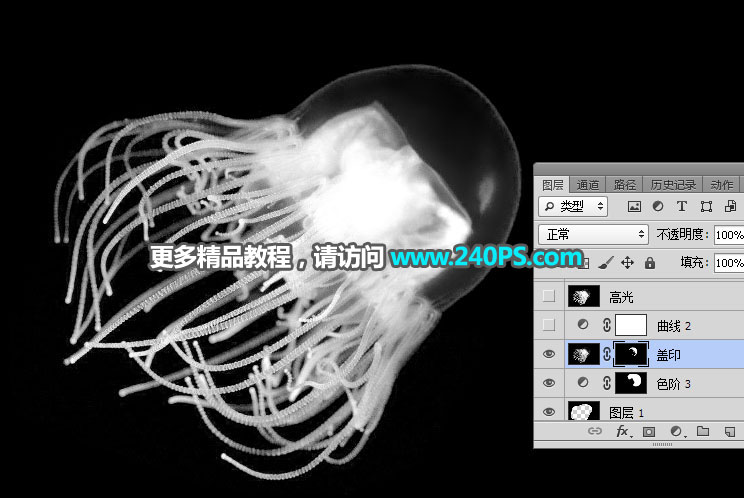 Photoshop如何巧用通道工具摳出透明水母