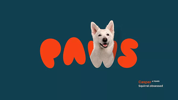ZƷPawsҕXVIOӋp