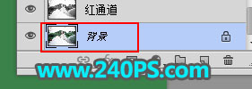 Photoshopsµ͸鼆