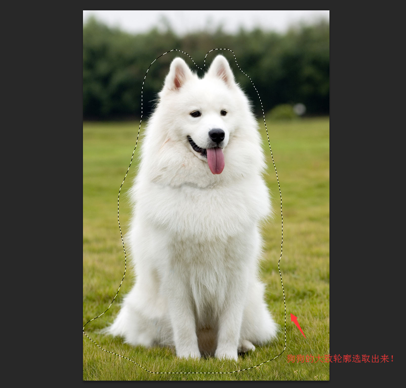 PhotoshopԔ(x)Γë׵С