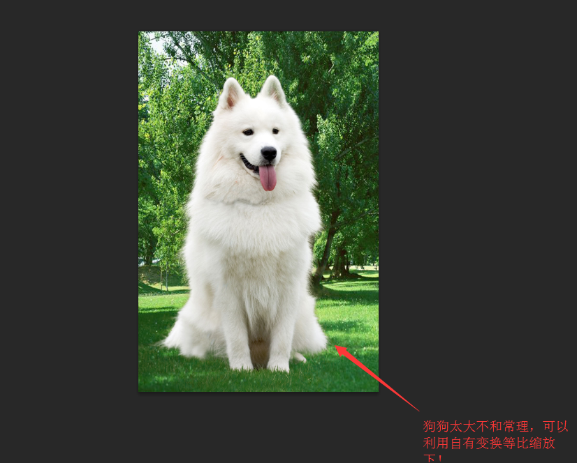 PhotoshopԔΓë׵С