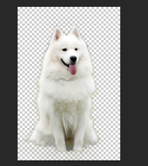 PhotoshopԔ(x)Γë׵С