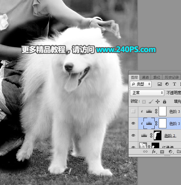 Photoshop^(f)sС