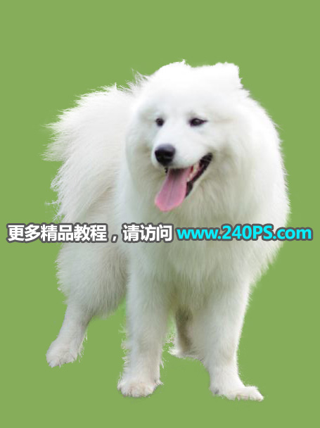 Photoshop^sС