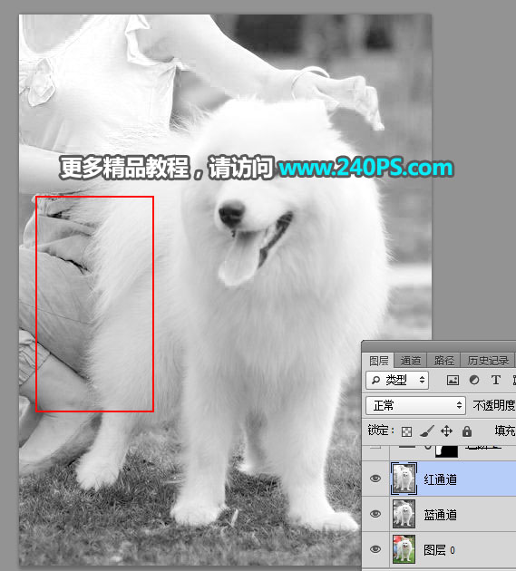 Photoshop^sС