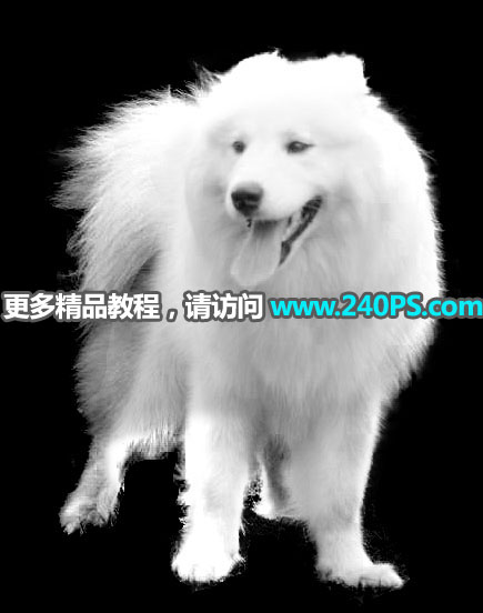 Photoshop^sС